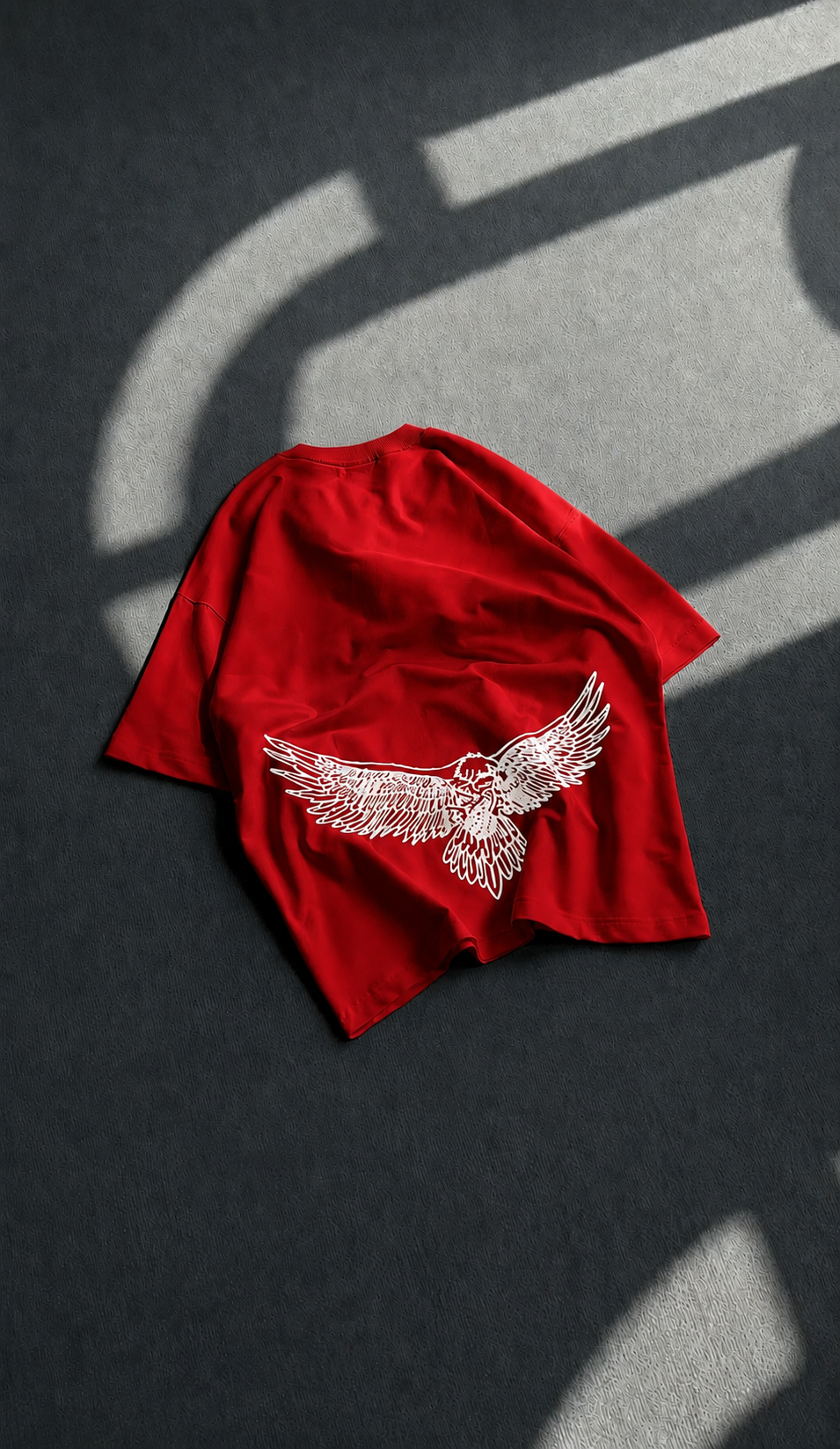 EAGLE FLY OVERSIZED GRAPHIC TEES